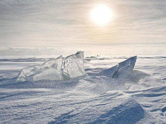 From Antarctica to the tropical swamps of Florida, MOBOTIX cameras
